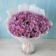 Букет цветов из:  Хризантемы в Вязниках