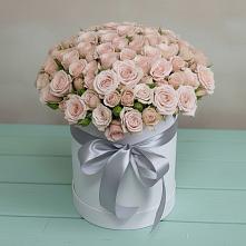 Цветочная композиция из Розы в шляпной коробке #REPLACE_PRED# Вязниках