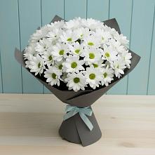 Букет цветов из:  Хризантемы #REPLACE_PRED# Вязниках