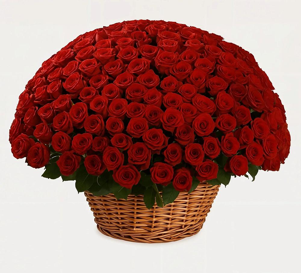 251 Премиум красная роза в Вязниках Премиум букет из: Розы в Вязниках