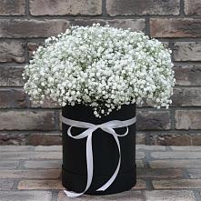 Композиция коробка гипсофил в Вязниках Цветочная композиция из Гипсофила в шляпной коробке в Вязниках