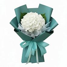 Букет цветов из:  Гортензия в Вязниках